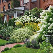 best shrubs for your garden the home