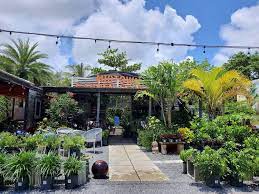 7 Best Places To Plants In Miami