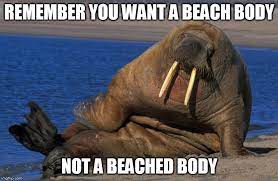 beach body memes flip