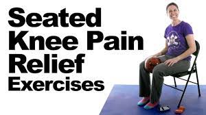 knee pain relief exercises seated 5