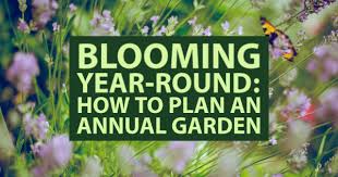 how to plan an annual garden