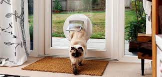 Cat Flap Fitter Birmingham