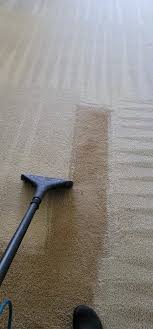 carpet cleaning service in royse city