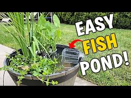 Easy No Plug Fish Pond Tutorial For