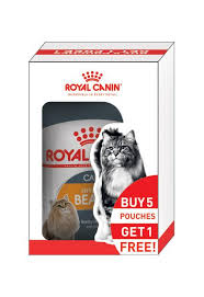 royal canin intense beauty wet cat food