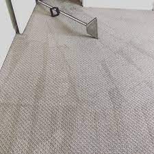 top 10 best carpet cleaning in fremont