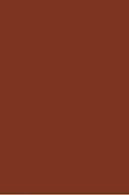 Picasso Acrylic Color 684 Burnt Sienna
