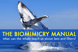 the biomimicry manual what can the