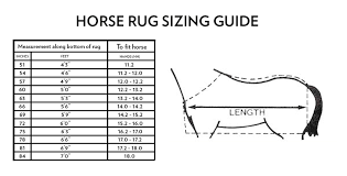 Rug Sizing Chart