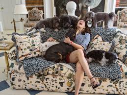 interior designers and their dogs