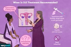 what is intrauterine insemination iui
