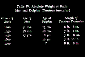 Comparitive Weights Of Dolphin And Human Brains