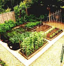 80 affordable backyard vegetable garden