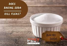 does baking soda kill fleas