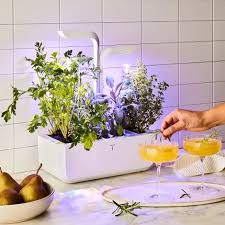 Veritable Smart Indoor Garden Herb