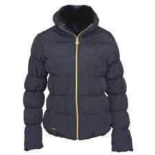 Toggi Branagh Padded Ladies Riding Jacket Available From Derbyhouse