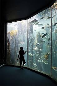 What Makes An Aquarium Glass Strong