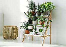 Plant Wall Shelf Ideas
