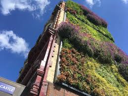 London underground station of elephant and castle was evacuated today after a huge fire has broken out in commercial units close to the train station. Today The Green Wall On The Side Of London S Elephant Castle Tube Station Gardening