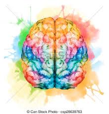 Image result for beautiful brain