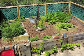 Raised Beds And Terraces Grown By You