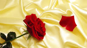 wallpaper roses red flowers silk