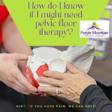 pelvic floor therapy