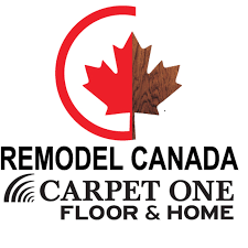 top 10 best carpet s in barrie on