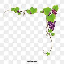 vine frame png vector psd and