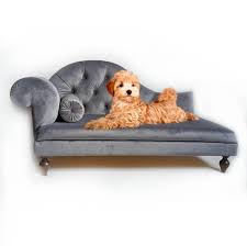 Fancy Dog Couch Grey Dog Sofa Cat Bed