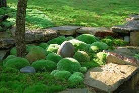 Moss Garden Outdoor Gardens Garden Stones