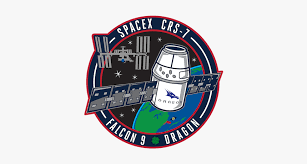 Nasa selected spacex to develop a lunar optimized starship to transport crew between lunar orbit and the surface of. Spacex Falcon 9 Spacex Logo Hd Png Download Kindpng