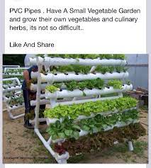 Well, hydroponic gardens allow us to save space and water, for starters. Pin On Garden