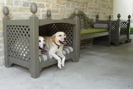 20 Cool Outdoor Dog Beds That Are Also