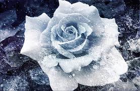 Maybe you would like to learn more about one of these? Haiku A Frozen Flower Expressing Life