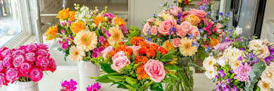 what are the 50 most por flowers