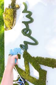 Diy Moss Wall Art Stacy Risenmay