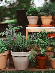 How To Start An Herb Garden Story The