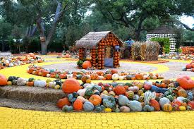 this pumpkin village in dallas looks