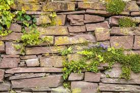 Stone Garden Walls How To Garden On A Wall