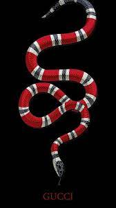 22 gucci snake logo wallpapers