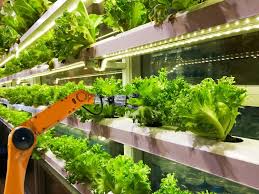 Data Centers And Indoor Farming
