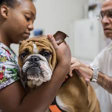 One nashville veterinary clinic is helping people recover and find peace after losing their pets. Caudle Vet Clinic Home Compassionate Care For Your Furry Friends