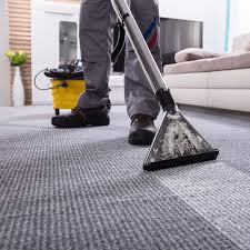 carpet cleaning sanitize solutions