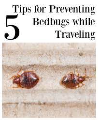 preventing bedbugs while traveling
