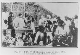 Image result for when the plague came to Bombay in 1896