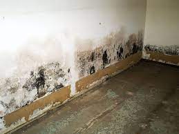 Drywall Damage Wet Drywall Mold
