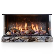 Fireplace Glass Doors Isolated