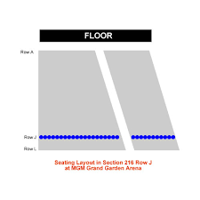 Mgm Grand Garden Arena Concert Seating Chart Interactive