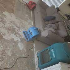 carpet cleaning in tee fl